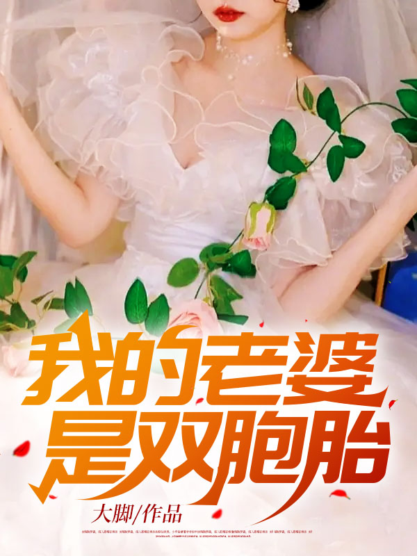 我的老婆是双胞胎